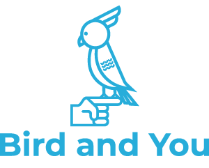 Logo bird and you